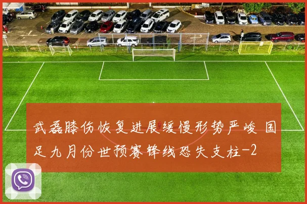 武磊膝伤恢复进展缓慢形势严峻 国足九月份世预赛锋线恐失支柱